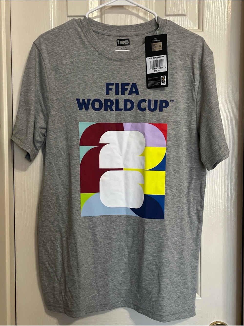 FIFA World Cup Men's Graphic Tee - Gray